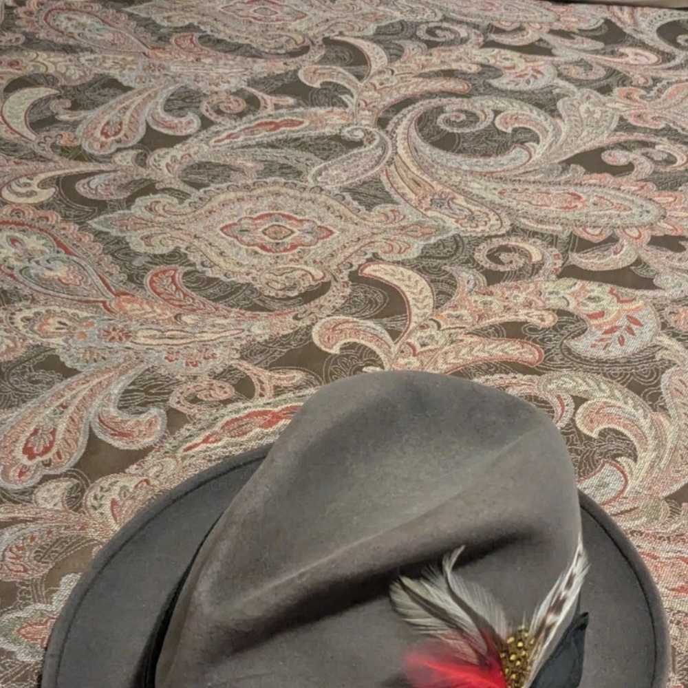 Stylish Gray Men's Hat with Feather Detail, like new used once or twice
